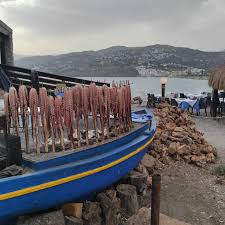 Guia Pajarita Image 1